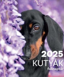 Kutyák falinaptár - 2025
