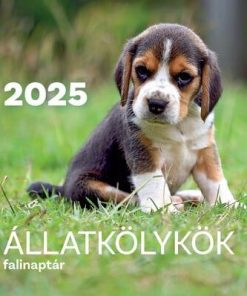 Állatkölykök
 falinaptár - 2025