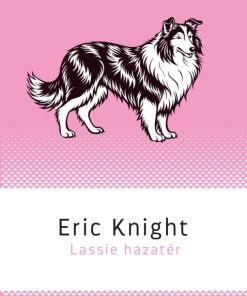 Lassie hazatér
