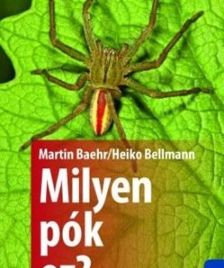 Milyen pók ez? - 132 pók egyszerű meghatározása
