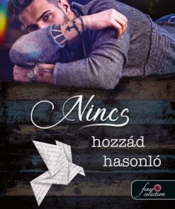 Alternative view of Nincs hozzád hasonló