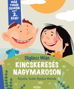 Alternative view of Kincskeresés Nagymaroson