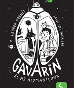 Alternative view of Gavarin és az álomantenna