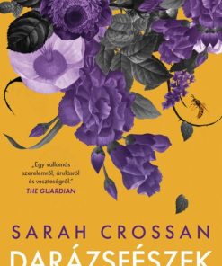 Alternative view of Darázsfészek