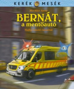 Alternative view of Bernát, a mentőautó