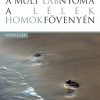 A múlt lábnyoma a lélek homokfövenyén