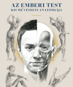 Az emberi test kis művészeti anatómiája