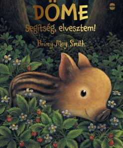 Döme - Segítség, elvesztem!