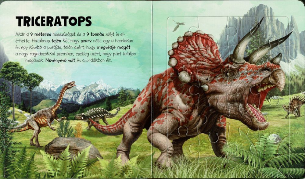 Szuper puzzle - Dinoszauruszok - Image 4
