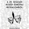 Regényszótár a 20. századi közép-európai irodalomból