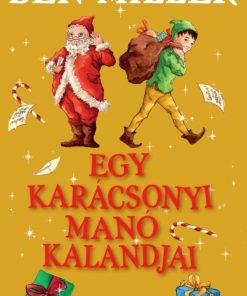Egy karácsonyi manó kalandjai