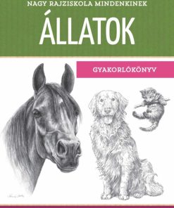 Nagy rajziskola mindenkinek - Állatok (Gyakorlókönyv)