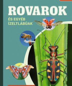 Rovarok és egyéb ízeltlábúak - Képes ismeretterjesztés gyerekeknek - Fedezzük fel együtt!