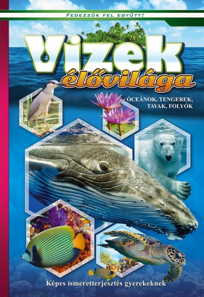 Vizek élővilága- Képes ismeretterjesztés gyerekeknek