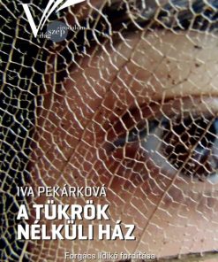 A tükrök nélküli ház