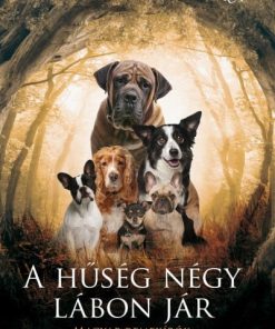 A hűség négy lábon jár