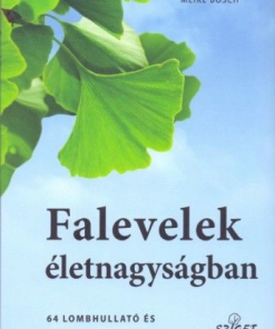 Falevelek életnagyságban
