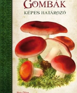 Gombák