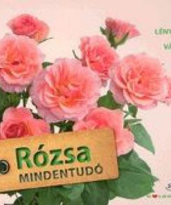 Alternative view of Rózsa mindentudó - 99 lényegretörő válasz