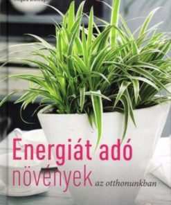 Alternative view of Energiát adó növények az otthonunkban