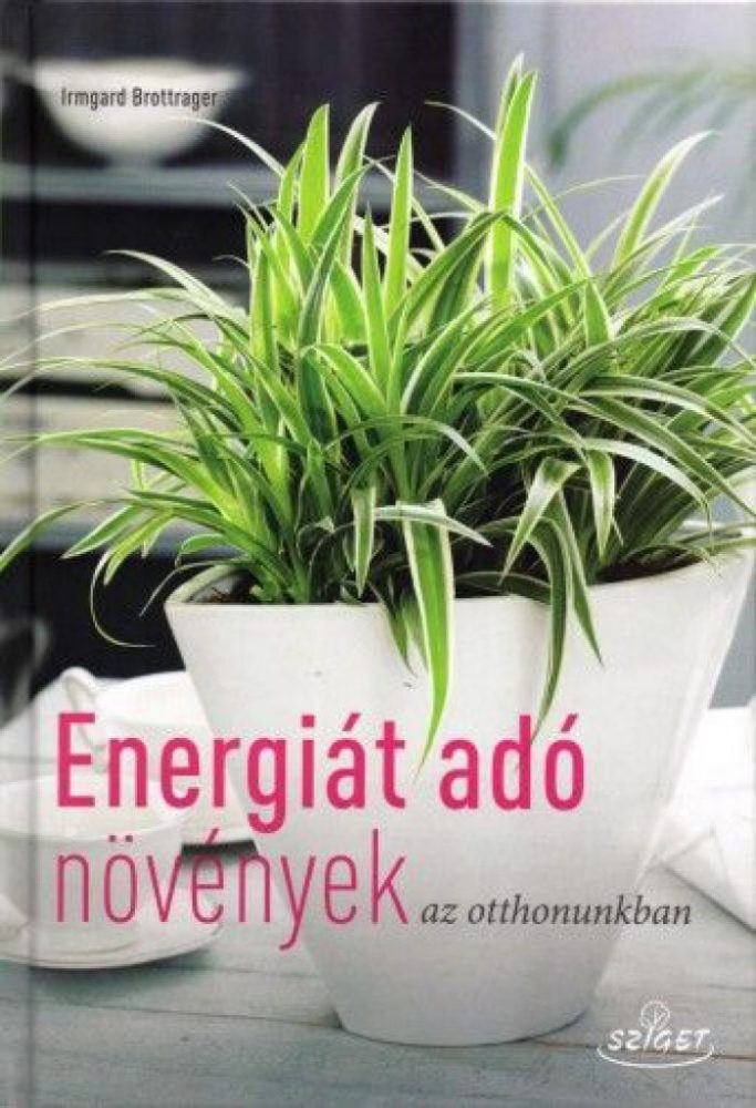 Energiát adó növények az otthonunkban - Image 2