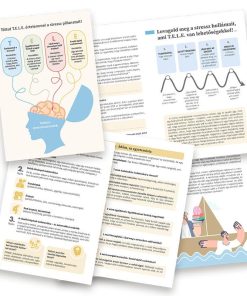 Alternative view of Stresszcsökkentés helyett hasznosítsd a stresszt